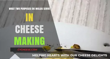 Molds' Dual Role in Cheese Making