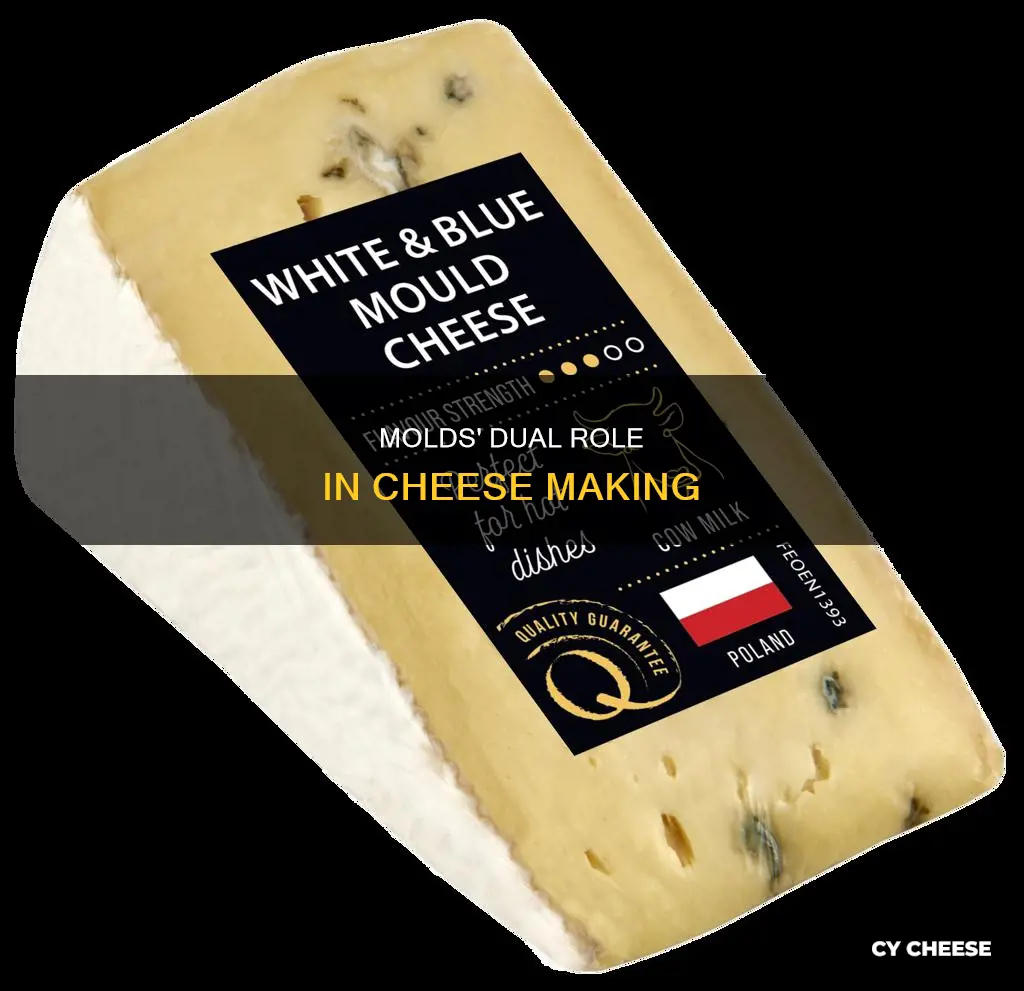 what two purposes do molds serve in cheese making