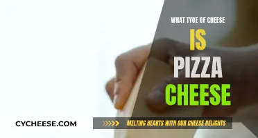 The Ultimate Guide to Pizza Cheese: A Cheesy Adventure