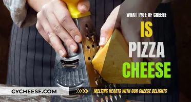 The Melty Magic: Pizza Cheese and Its Types