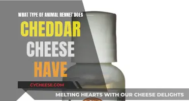 Cheddar's Secret: Unveiling the Animal Source of its Creamy Curd