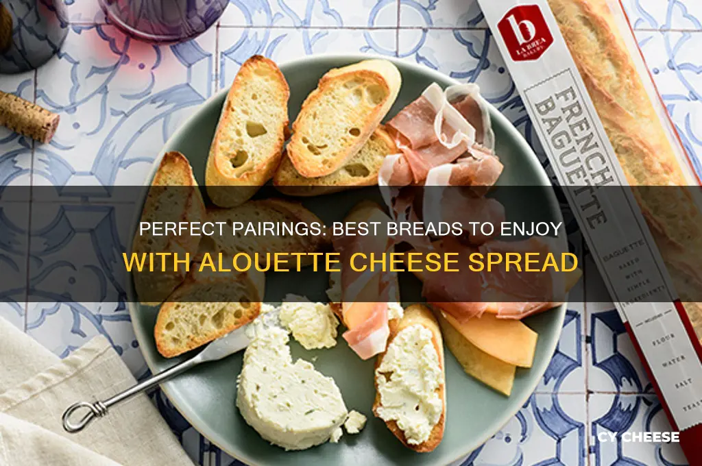 what type of bread is good with alouette cheese