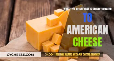 American Cheddar: The Surprising Link to a Familiar Cheese