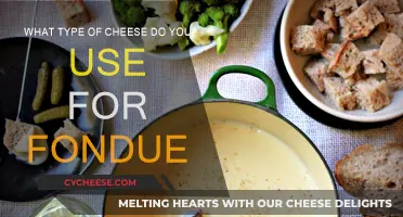 Cheese Fondue: Selecting the Perfect Melting Cheeses