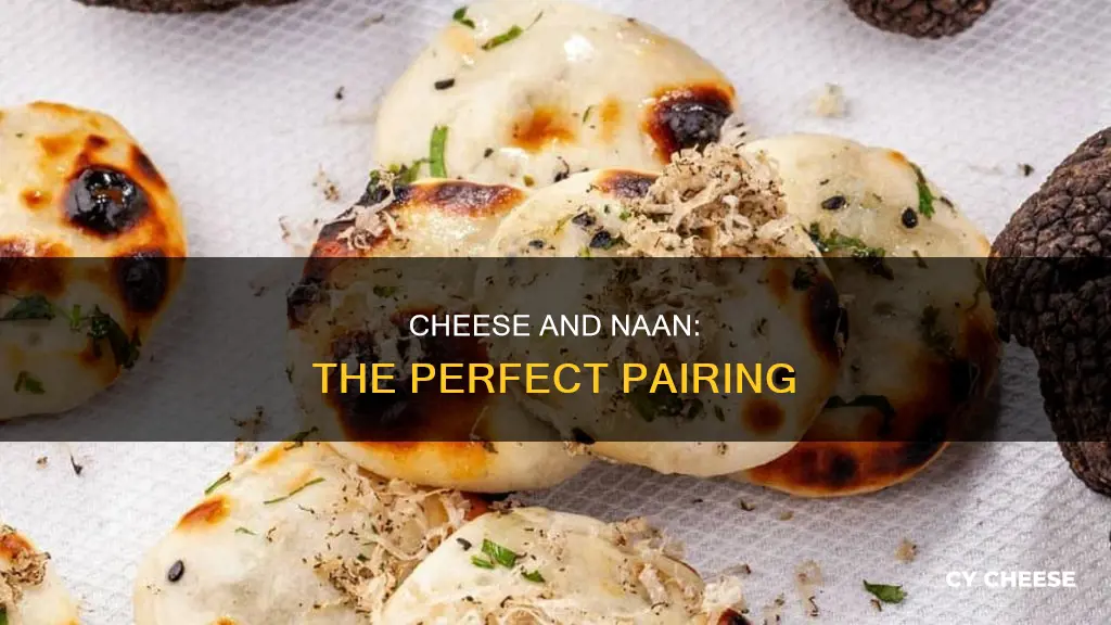 what type of cheese dp you put on naan bread