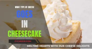 Cheese and Cheesecake: Perfect Pairing for Dessert Delights