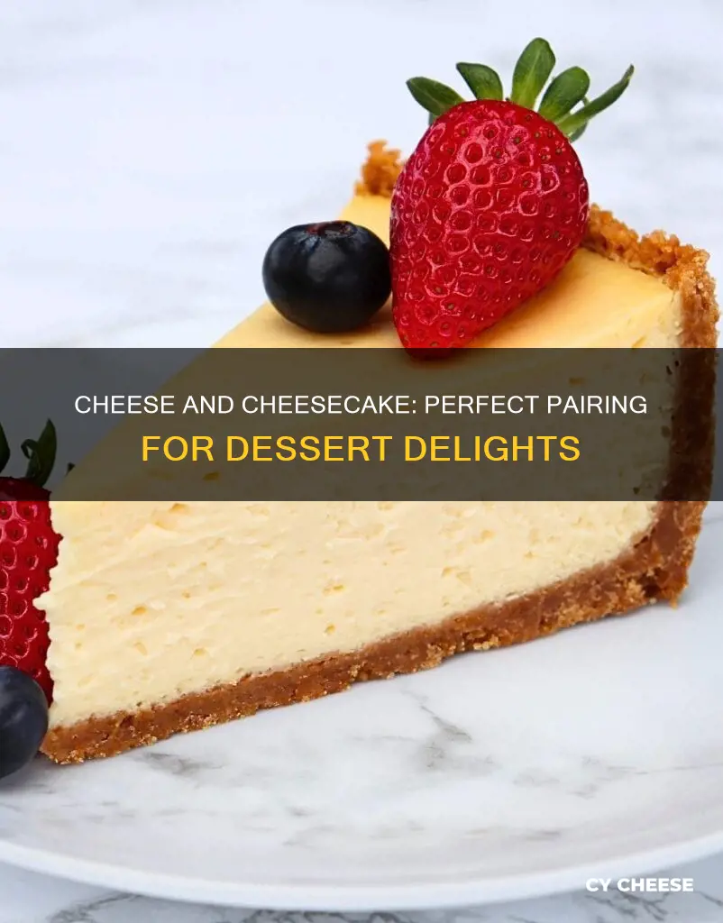 what type of cheese goes in cheesecake