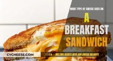 Breakfast Sandwiches: Best Cheeses to Start Your Day