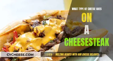 Cheesesteak 101: The Best Cheeses for Your Steak Sandwich