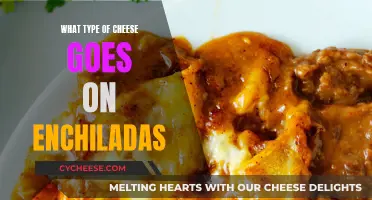 Cheese Enchiladas: Perfect Pairings and Melty Toppings