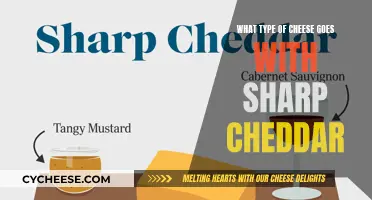 Cheese Pairing: Exploring the Best Companions for Sharp Cheddar