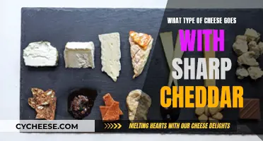 The Perfect Pair: Cheeses to Complement Sharp Cheddar