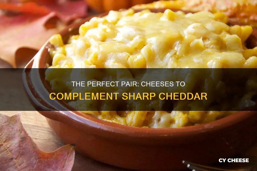 what type of cheese goes with sharp cheddar