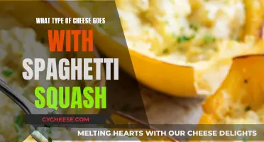 Cheese and Squash: Perfect Pairing for Spaghetti