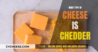 The Ultimate Cheddar Cheese Guide: Types, Flavors, and More