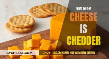 The History of Cheddar: A Cheese Lover's Guide