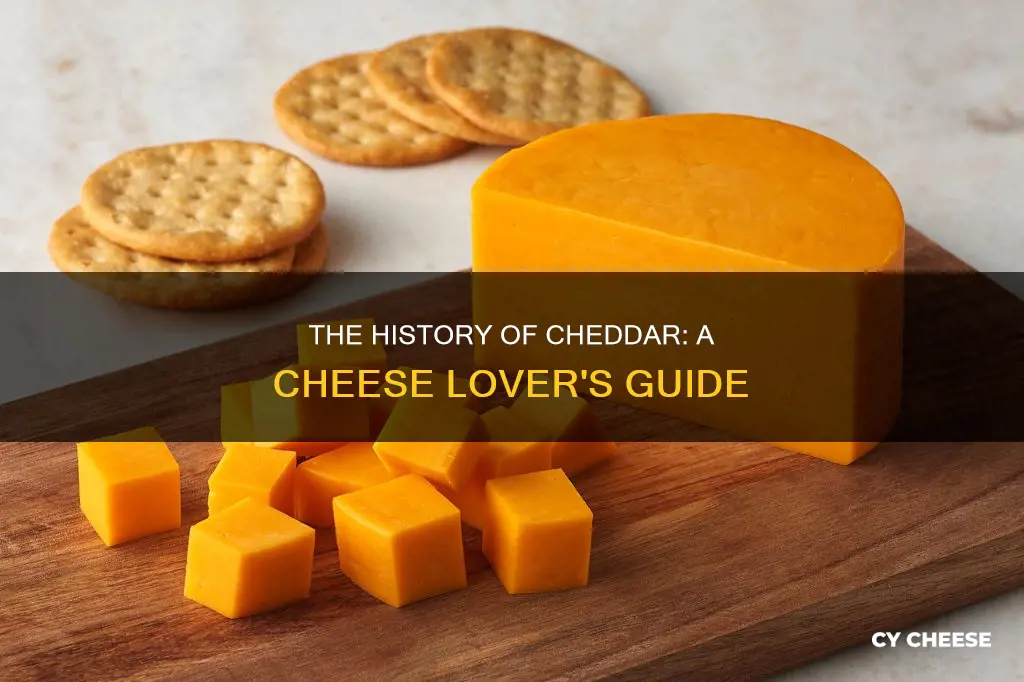 what type of cheese is chedder