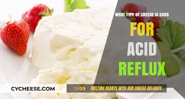 Best Cheeses for Acid Reflux: Low-Fat, Soothing Options to Enjoy