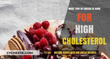 Heart-Healthy Cheese Choices: Best Options for Managing High Cholesterol