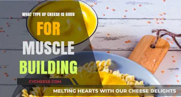 Cheese for Muscle Building: Top Protein-Rich Varieties to Try