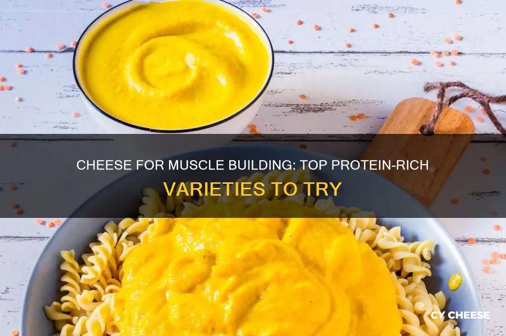 what type of cheese is good for muscle building