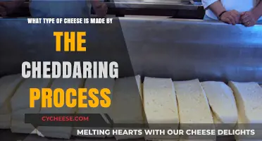 Unveiling Cheddar's Secrets: The Art of Cheddar Cheese Making