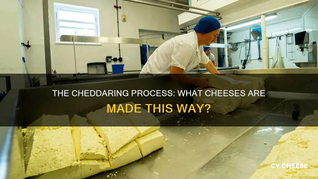 what type of cheese is made by the cheddaring process
