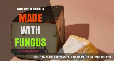 Unveiling the Fungus-Infused Cheese: A Unique Culinary Adventure