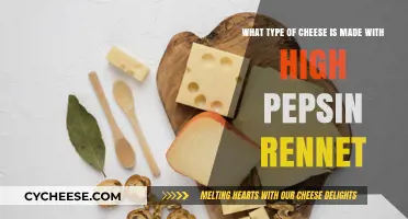 The Ultimate Guide to High Pepsin Rennet Cheese