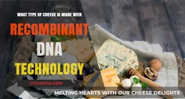 Unveiling the Genetic Cheesemakers: A Look at Recombinant DNA in Cheese