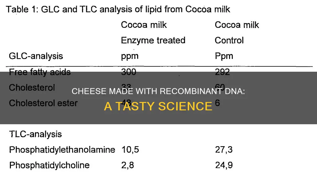 what type of cheese is made with recombinant dna technology