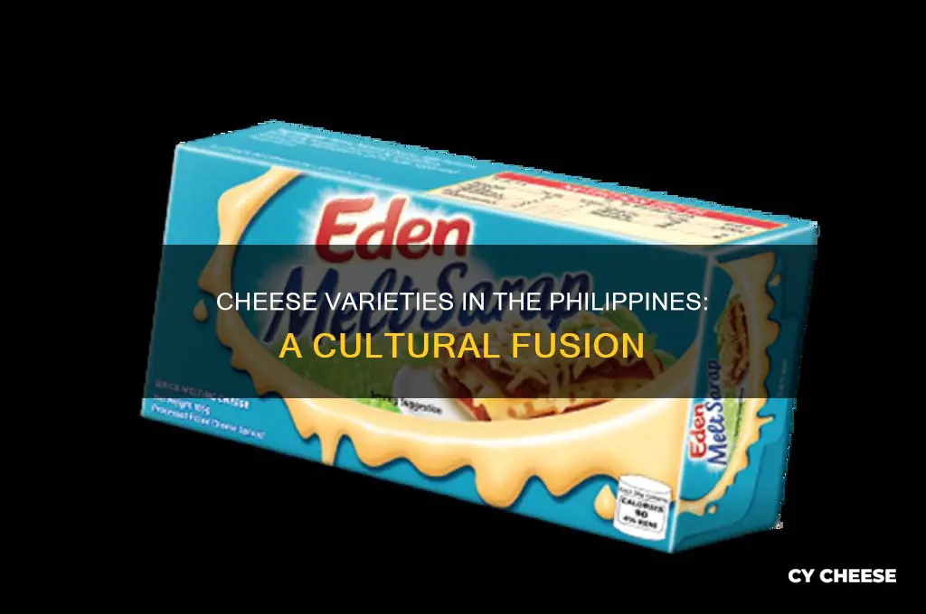 what type of cheese is used in the philippines