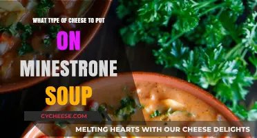 Cheese Toppings to Enhance Your Minestrone Soup