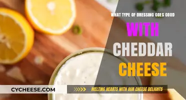 Perfect Pairings: Best Dressings to Complement Cheddar Cheese