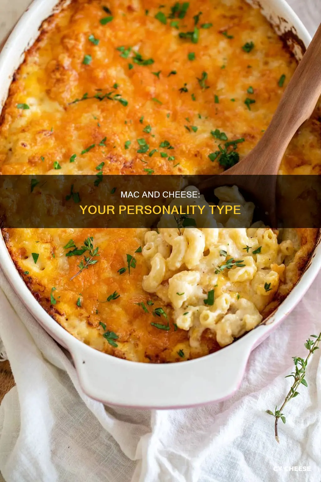 what type of macaroni and cheese are you