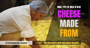 Blue Cheese Milk: What's the Secret Ingredient?