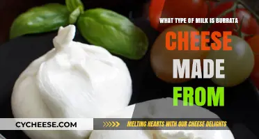 The Creamy Secret: Burrata's Milk Mystery Unveiled