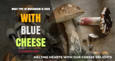 Mushroom and Blue Cheese: The Perfect Pairing