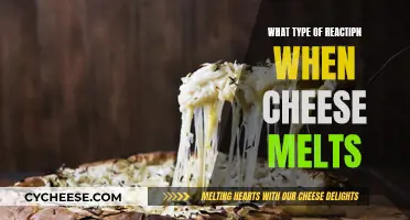 Cheese Melting: The Science Behind the Gooey Goodness