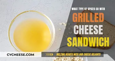 The Perfect Spices for a Grilled Cheese Sandwich