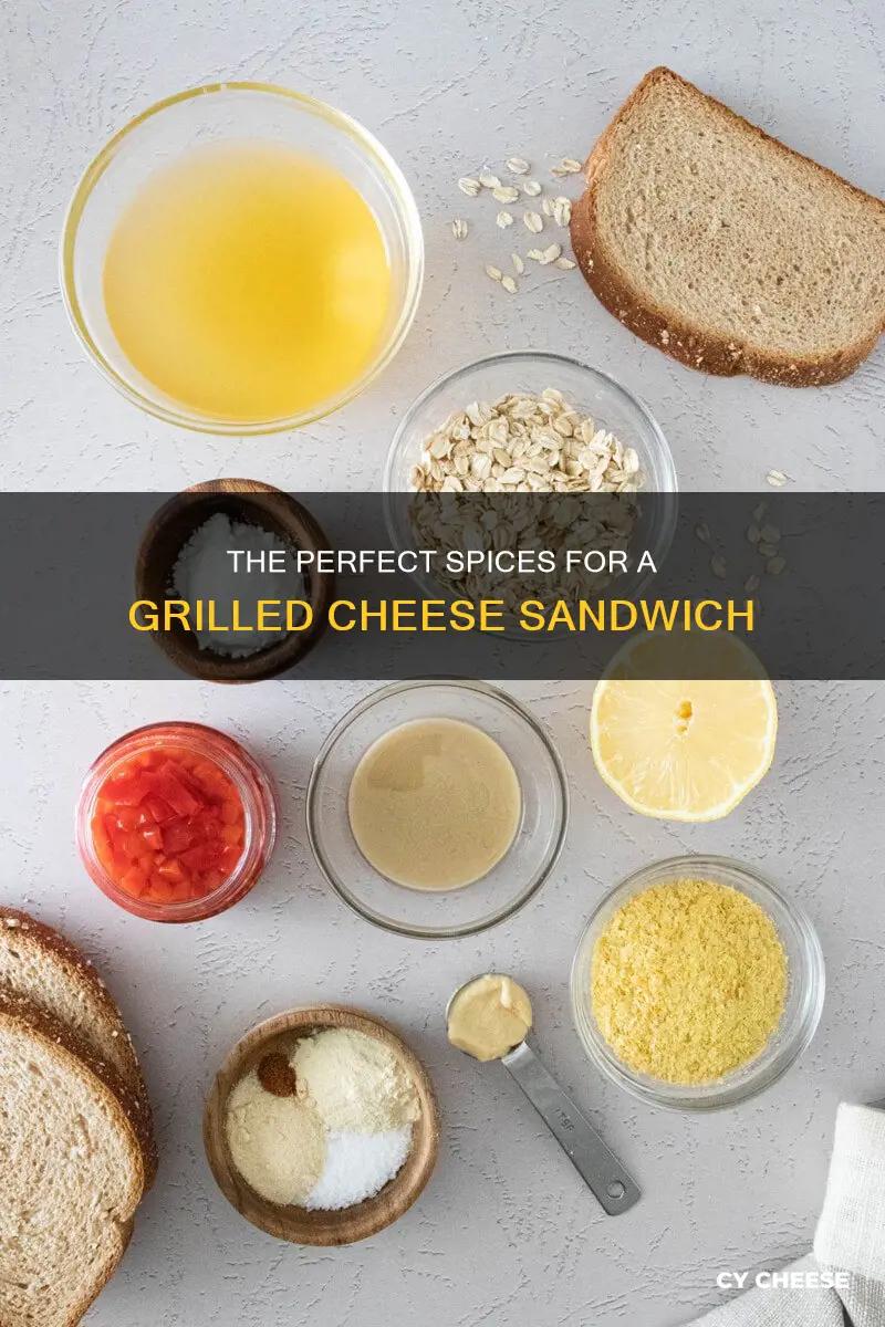 what type of spices go with grilled cheese sandwich
