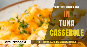 Best Cheese Varieties to Elevate Your Tuna Casserole Recipe