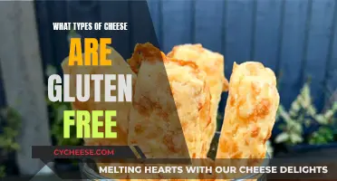 Gluten-Free Cheeses: What Types Are Safe?