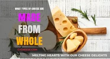 Exploring the World of Whole-Milk Cheeses: A Tasty Journey