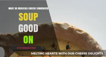 Delicious Uses for Broccoli Cheese Condensed Soup: Creative Recipe Ideas