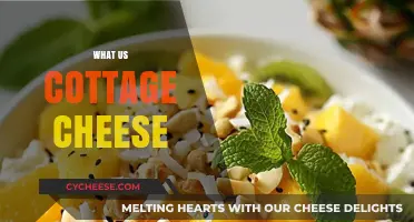 What is Cottage Cheese? A Complete Guide to This Creamy Delight