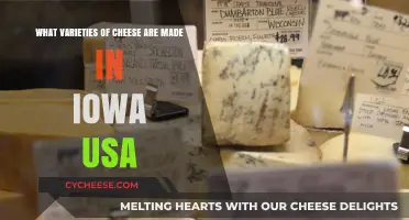 Iowa's Cheesy Delights: Exploring Unique Cheese Varieties