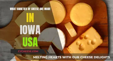 Iowa's Finest: Artisan Cheeses and Their Varieties