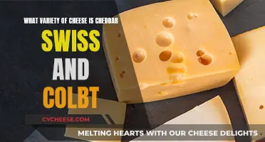 Cheese Varieties: From Cheddar to Swiss and Colby