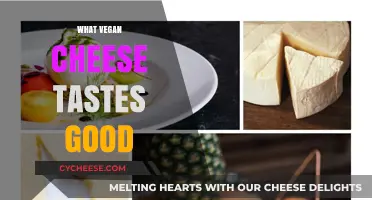 Discover the Best-Tasting Vegan Cheeses for Your Plant-Based Diet